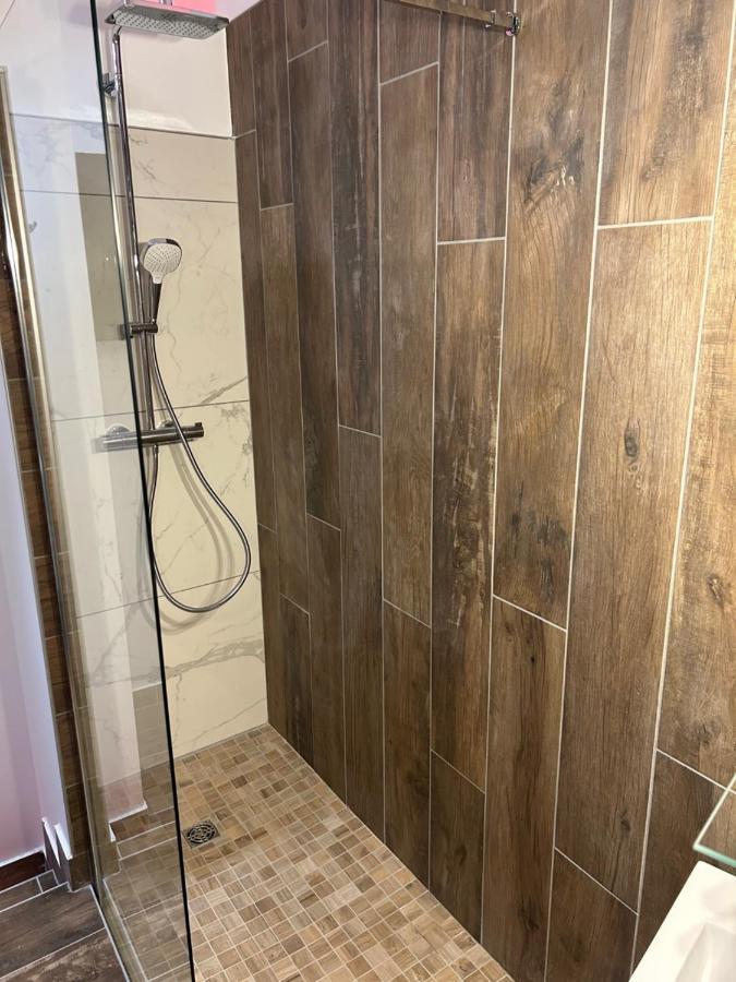 Chambre La Suite Pres Gare Grenoble Bagian luar foto